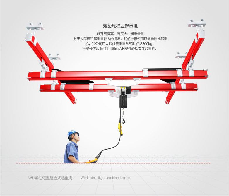 柔性起重機(jī)系統(tǒng)